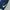 Nike Swoosh Navy Jogger Pants photo 4