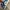 Air jordan 1 industrial blue photo 5