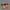 Sepatu Timberland 10061 Icon 6" Boot Wheat Leather photo 1