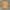 Ma Sir Yellow Cheongsam Shirt photo 2