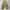 Wonder wonder Super baggy cargo pants photo 4