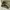 Wonder wonder Super baggy cargo pants photo 10