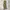 Wonder wonder Super baggy cargo pants photo 7