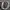 Short pants nike big logo photo 4