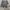 Short pants nike big logo photo 1