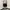 Wrangler Baggy jorts black photo 1