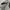 RayBan Wayfarer Turtoise Brown Glossy Brown Glass Lens photo 6