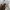RayBan Wayfarer Turtoise Brown Glossy Brown Glass Lens photo 3