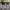 RayBan Wayfarer Turtoise Brown Glossy Brown Glass Lens photo 1