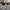 RayBan Wayfarer Turtoise Brown Glossy Brown Glass Lens