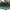 YSL hobo bag dark green photo 5