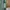 YSL hobo bag dark green photo 7