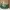 YSL hobo bag dark green photo 2