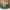 YSL Hobo Bag Dark Green