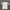 POLOSHIRT SERGIO TACCHINI