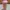 corkcicle canteen 16oz - unicorn magic cotton candy photo 4
