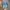 Denim Shirt short plaid Sleeve By VIS

 photo 1