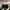 Carhatt Aviation Pant Cargo  photo 4