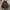 Hoodie Guess photo 1