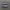 vans authentic purple photo 1