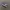 vans authentic purple photo 3