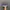 vans authentic purple photo 5