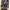 Dress Bodycon Motif Hitam Putih Cut-Out Detail photo 1