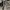 Java Canvas Quilted Active Jacket photo 2