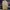 Earth Music & Ecology Long Puffer Down Jacket photo 5