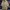 Earth Music & Ecology Long Puffer Down Jacket photo 4