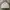 Broken White Intoo Jacket — Boxy Fit