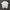 T-SHIRT SUPREME