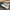 Nike Vomero Broken White Size 42 (26.5cm) photo 2