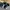 Nike Vomero Full Black size 42 (26.5cm) photo 4