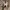 Dickies photo 1