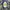 Topi Nascar Jimmie Johnson photo 1