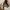 Marhen j ludy taupe sling shoulder hobo bag tas photo 6