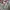 Vinatge filed jacket olive green  photo 3