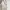 Tas Charles & Keith Adelie Envelope Shoulder Bag - Oat  photo 2