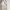 Tas Charles & Keith Adelie Envelope Shoulder Bag - Oat 