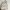Tas Charles & Keith Adelie Envelope Shoulder Bag - Oat  photo 1
