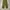 Vintage 70s Us Army M65 field Trousers OG107 photo 1