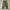 Vintage 70s Us Army M65 Field Trousers OG107