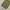 Vintage 70s Us Army M65 field Trousers OG107 photo 10