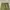 Vintage 70s Us Army M65 field Trousers OG107 photo 4