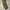 Vintage 70s Us Army M65 field Trousers OG107 photo 5