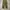 Vintage 70s Us Army M65 field Trousers OG107 photo 3
