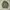 Vintage 1950s Us Army M51 field jacket photo 1
