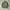 Vintage 1950s Us Army M51 field jacket photo 6