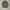 Vintage 1950s Us Army M51 field jacket photo 2